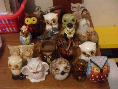 20 BEAUTIFUL OWLS FOR THE OWL COLLECTOR