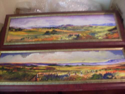2 X PRETTY ORIGINAL FRAMED RECTANGULAR LANDSCAPES.... SA ARTIST  ...OIL ON BOARD SIGNED BY B.J. NEL