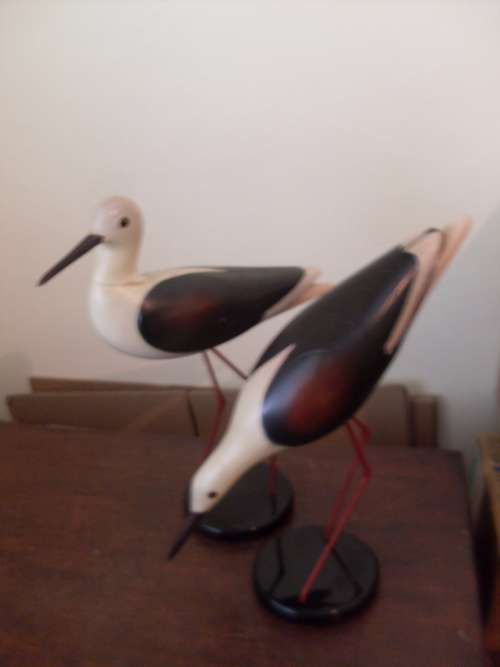RARELY SEEN......A PAIR OF FEATHERS OF KNYSNA LIMITED EDITION BIRDS ....STILTS......