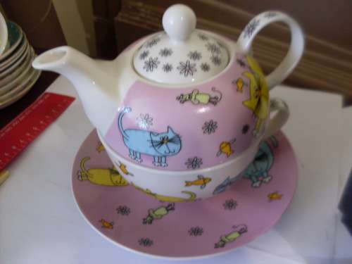 FUNKY MAXWELL and WILLIAMS 1 CUP SAUCER TEAPOT SET WITH PRETTY CATS DESIGN