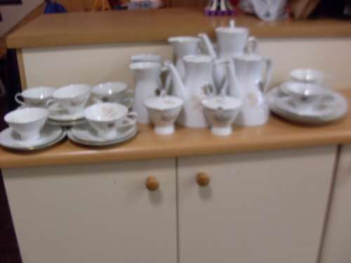 RARE ...DISCONTINUED.....ROSENTALL  SHADOW ROSE LARGE TEASET