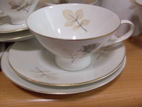 RARE ...DISCONTINUED.....ROSENTALL  SHADOW ROSE LARGE TEASET