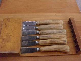 6 PIECE UNUSUAL BONE HANDLE KNIVES SET IN HOLDER !!!!!!