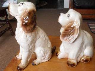 2 DOGS ((BOTH SPANIELS ))WITH MARKINGS !!!!!!!!