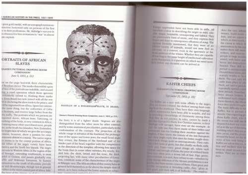 African American History in The Press 1851-1899, (Two volume set)