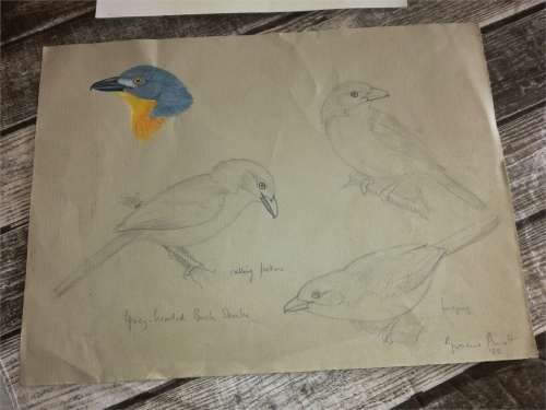 two original art works -  Julia Birkhead and Graeme Arnott