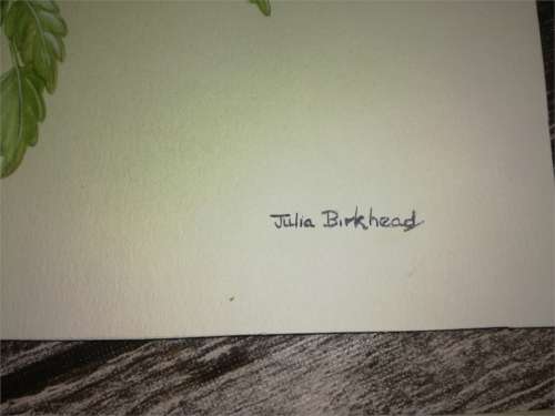 two original art works -  Julia Birkhead and Graeme Arnott