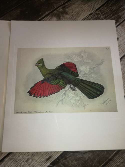 Claude Gibney Finch-Davis 1875-1920 - reproduction prints