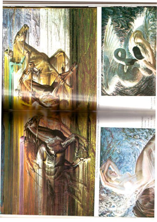 pigeon`s luck, Tretchikoff