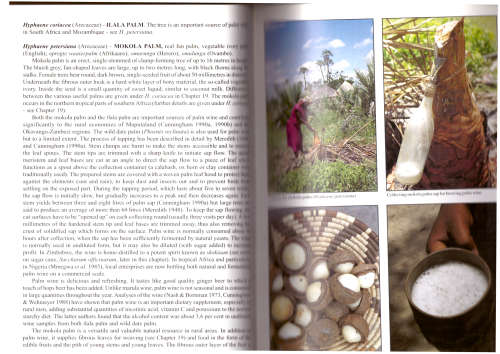 Peoples Plants, A Guide to Useful Plants of Southern Africa - SIGNED