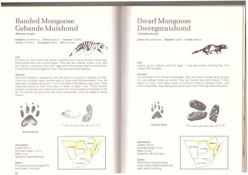 Signs of the Wild - Clive Walker