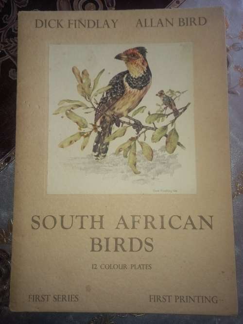 South African Birds / 12 colour plates  (first folio)