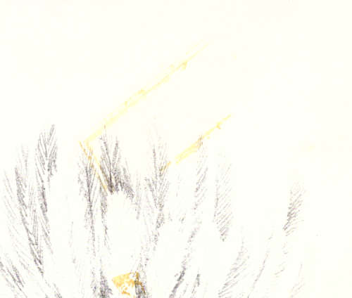 Cycads of Southern Africa - Cynthia Giddy