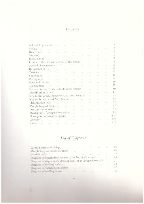 Cycads of Southern Africa - Cynthia Giddy