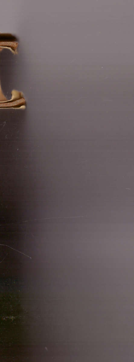 Politieke Groepering in die wording van die Afrikanernasie (GETEKEN)