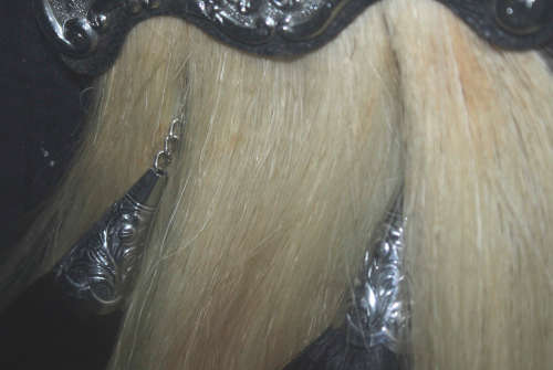 Black Watch Tartan Kilt and Sporrin Framed