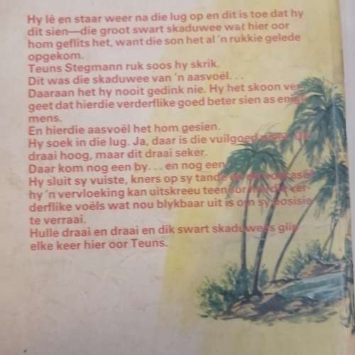 Sahara Avontuur Reeks : Meiring Fouche  (Twee boekies)