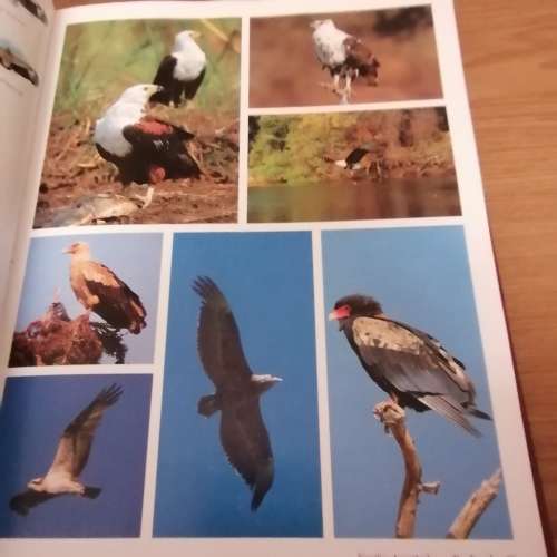 Voels. N fotografiese Gids  an Sinclair/Ian Davidson