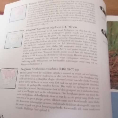 Voels. N fotografiese Gids  an Sinclair/Ian Davidson