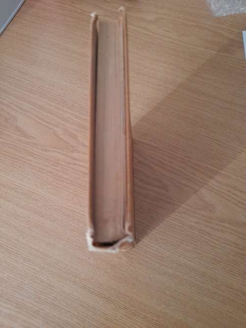 Met die Boere in die veld : Sarah Raal