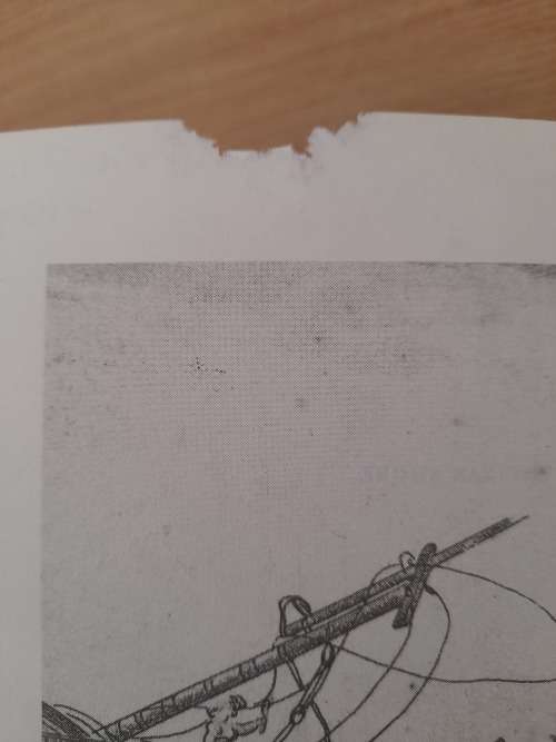 The Caliban Shore : The Fate of the Grosvenor Castaways : Stephen Taylor