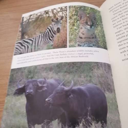 The Last Rhino : Lawrence Anthony