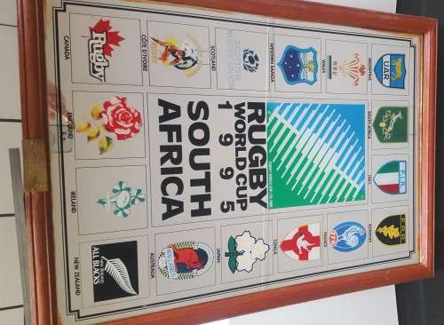 1995 World Cup Rugby Mirror