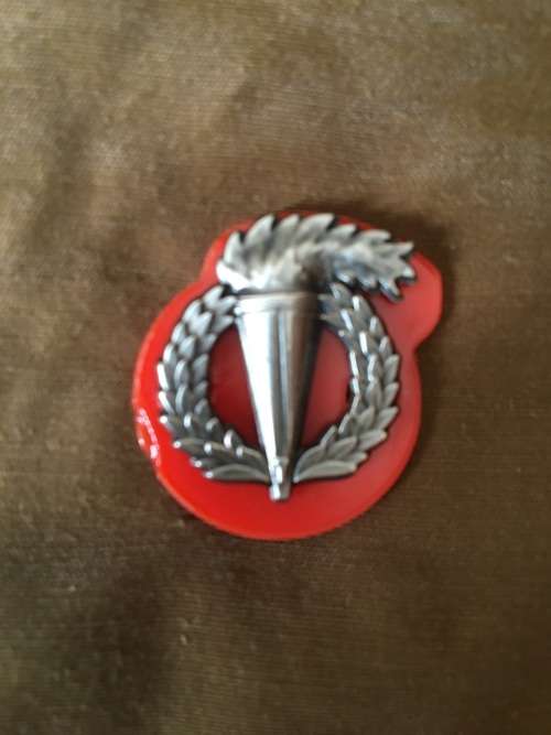 Pathfinder mess dress badge