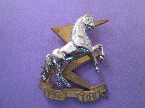 SADF Tunic Lapel badge right side TSC