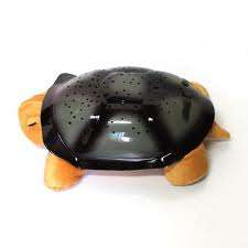 TURTLE NIGHT SKY WITH MUSIC...BROWN