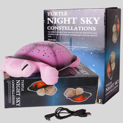TURTLE NIGHT SKY CONSTELLATIONS
