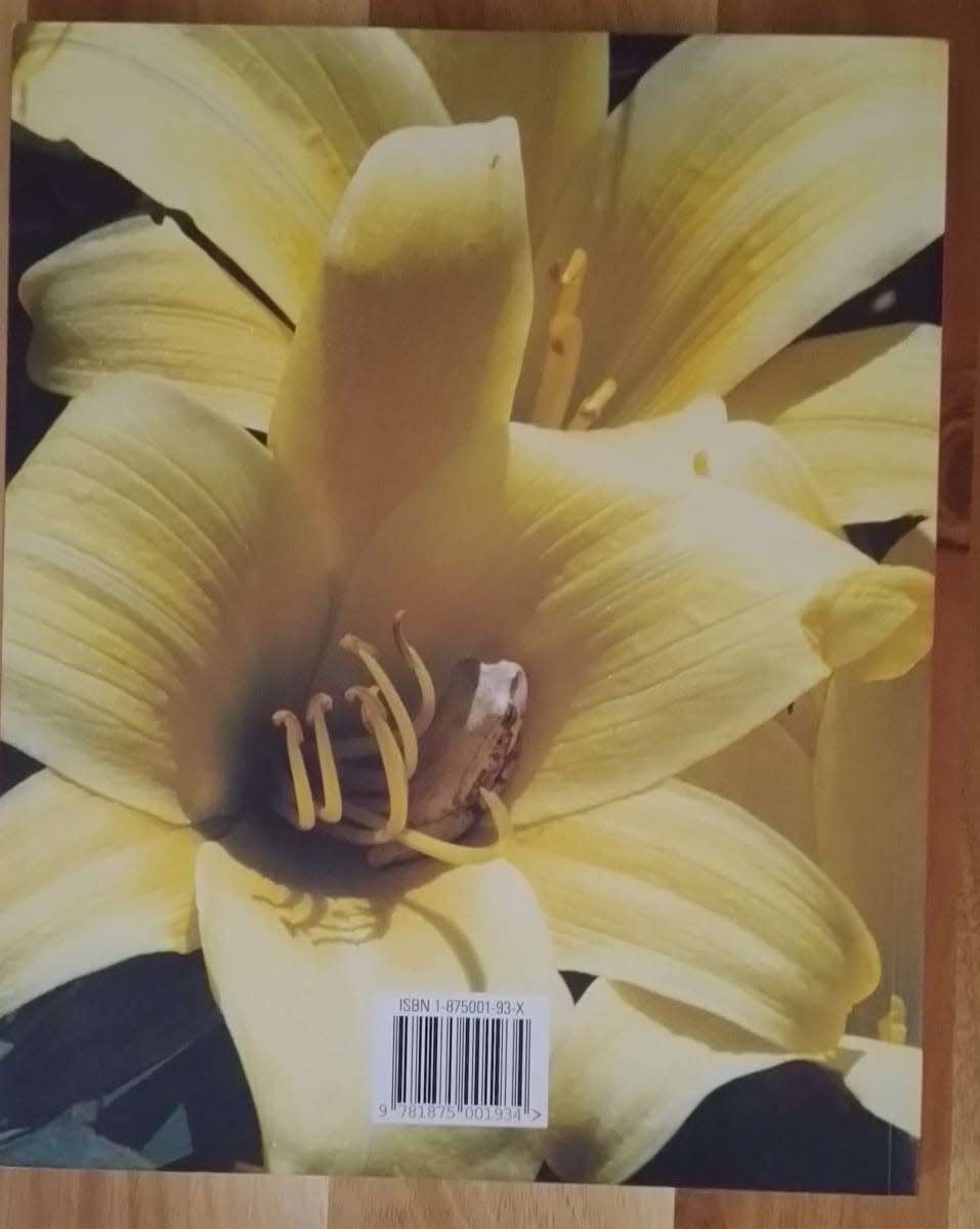 Wenke vir die klein tuin - Nancy Gardiner