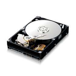 Samsung 500GB 3.5" HDD Spinpoint T166 SATA