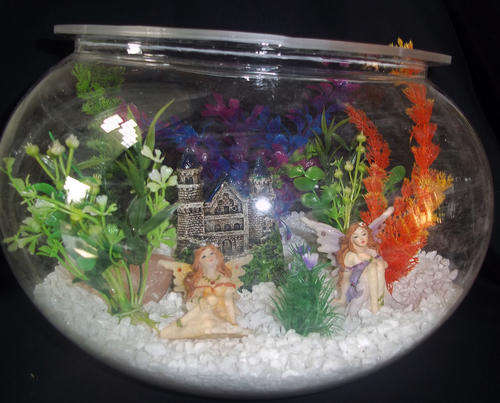 Fairy garden - Special!!!!