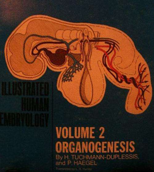SALE!!!! ILLUSTRATED HUMAN EMBRYOLOGY (VOLUME 2)