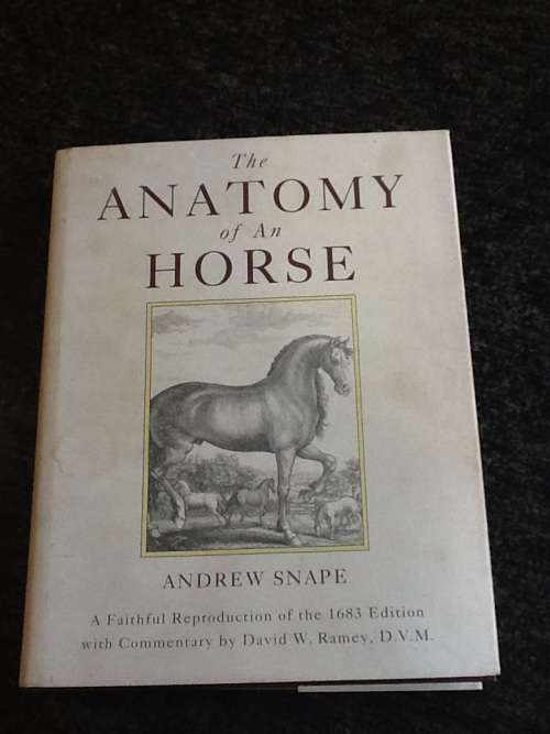 The Anatomy of an Horse - Andrew Snape