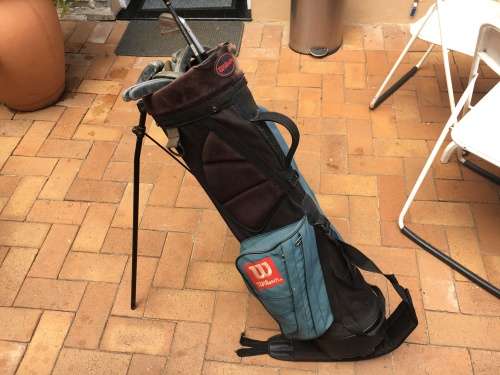 Bag with 10 putters and 2 other clubs