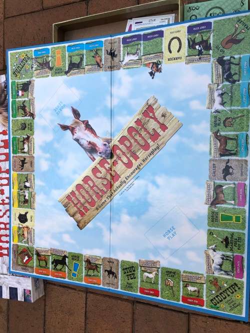 Like new Horse-o-poly fantastic and different