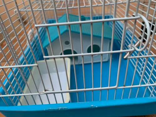 Hamster cage nice