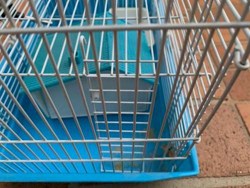 Hamster cage nice
