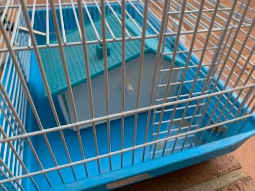 Hamster cage nice