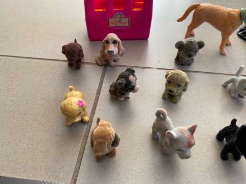 Nice collection of dogs with carry case