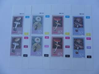 Ciskei 1.28 (1988) - Posionous Fungi mint pairs