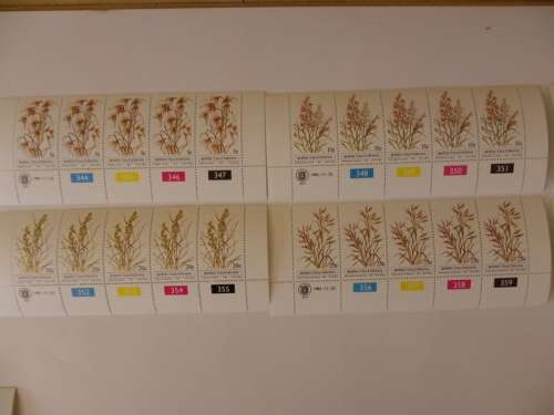 Bophuthatswana 1.19 (1981) - Indigenous Grasses (1st Series) UH Mint Control Block Set
