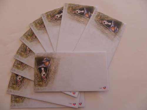 RSA 7.101 (2006) - Chinese Lunar Year Unserviced FDC's x 10 (Bid per FDC to take all)