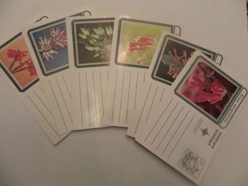 RSA Flower Mint Postcard Set x6