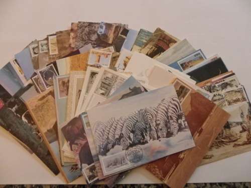 SWA Maxicards x 53 (No duplication) -  (Bid per Maxicard to take all)