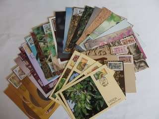 Venda Maxicards x 48 (No duplication) -  (Bid per Maxicard to take all)