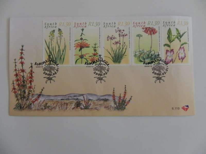 RSA 6.119 (2000) - Medicinal Plants FDC