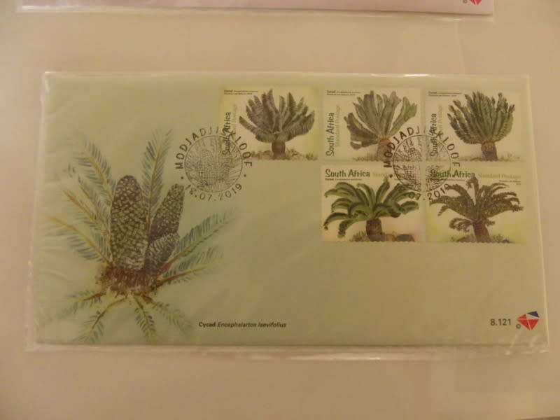 RSA 8.121 (2019) - Cycads FDC
